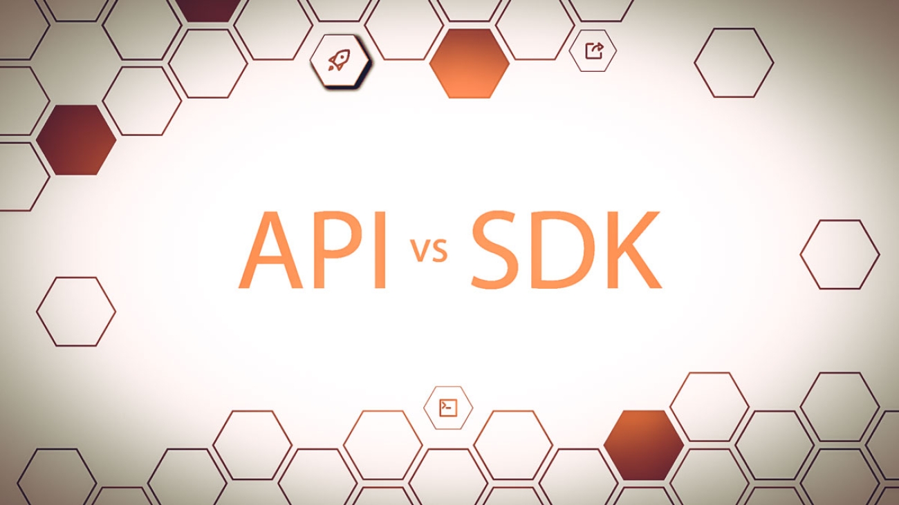 واسط برنامه‌نویسی کاربردی (API) و SDK در دوربین های مداربسته